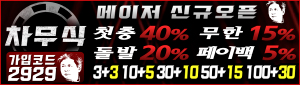 차무식벳